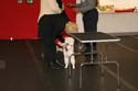 IMG 09985