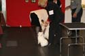 IMG 09986