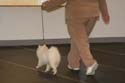 IMG 09987