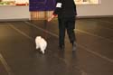 IMG 09988