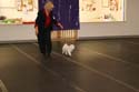 IMG 09989