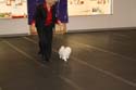 IMG 09990