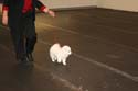 IMG 09991