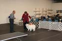 IMG 09994