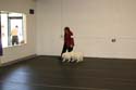 IMG 09997