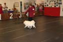 IMG 10005