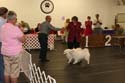 IMG 10006